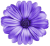 flower1.png
